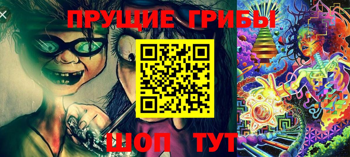 Псилоцибиновые грибы Magic Shrooms  Вход с VPN  Заводоуковск 